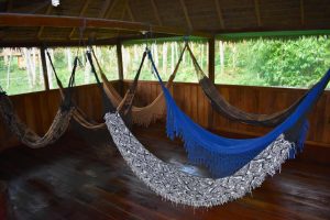 lodges bungalow amazon