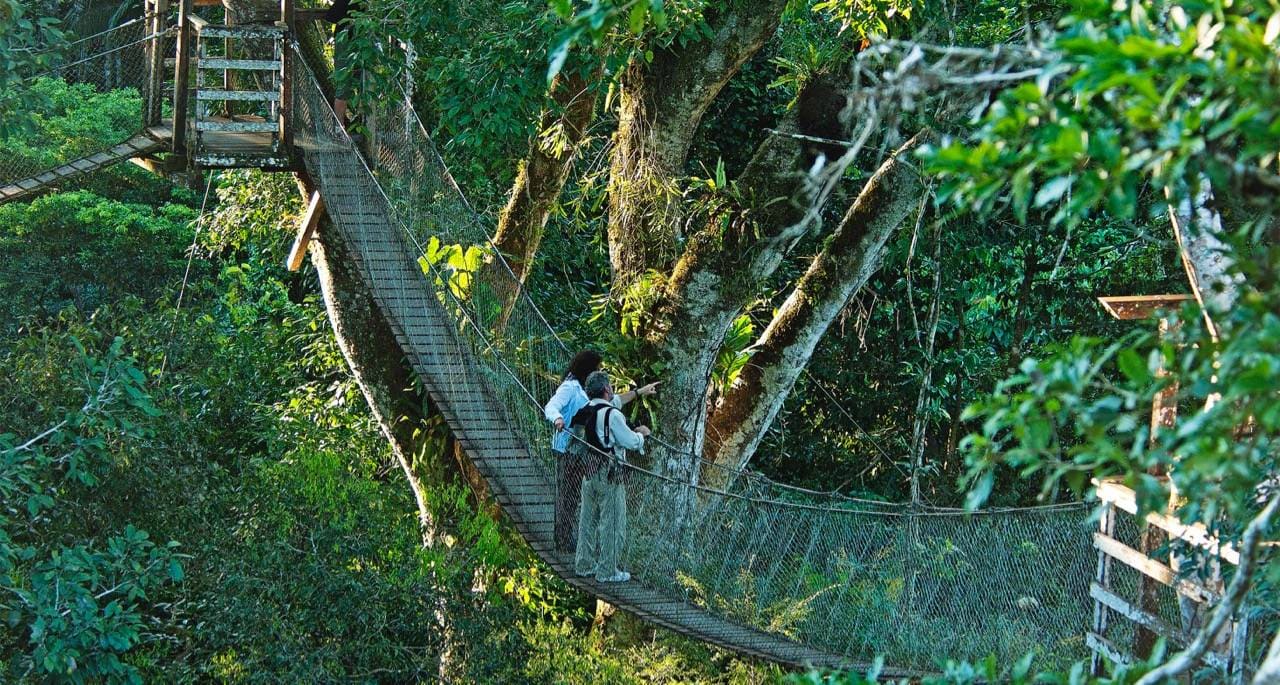Luxury Peruvian Amazon Tour 4 days