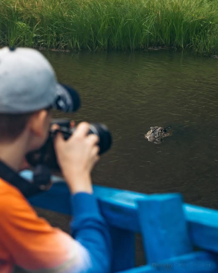 Wildlife Expeditions in Peru 2 dias