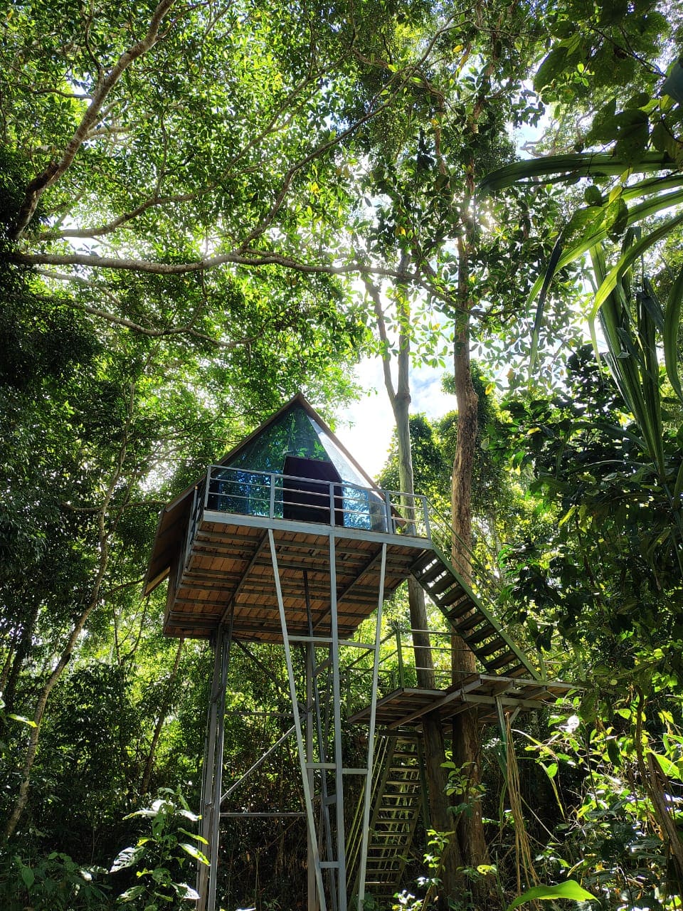 The Amazon Peru Treehouse Tambopata Macaw Clay Chuncho