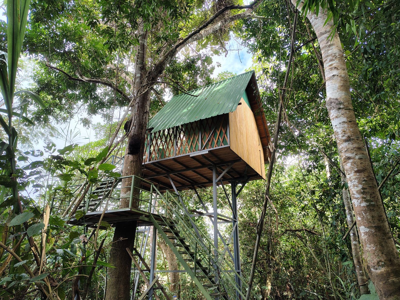 Excurcion Amazonas Casa Arbol 2 dias