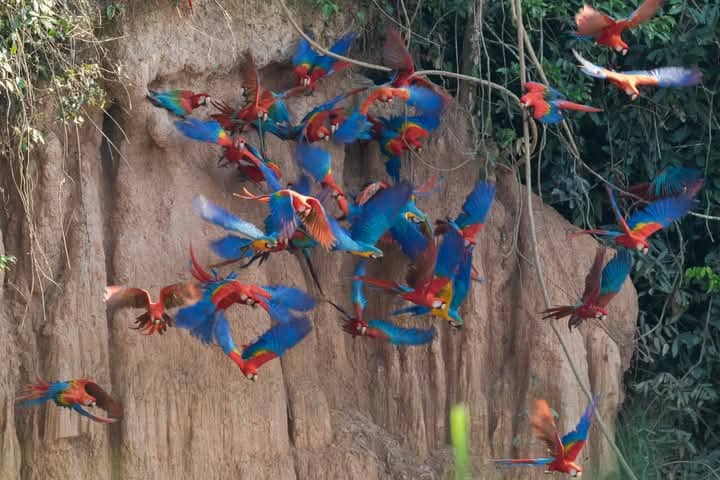 Turismo en el Amazonas 5 Dias