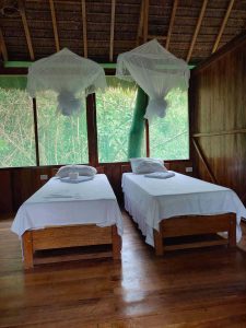 tour rainforest peru -The Amazon Peru Treehouse Tambopata Macaw Clay Chuncho