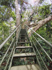 expeditions trips peru